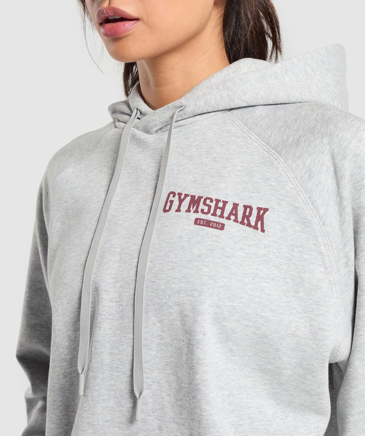 Collegiate Lifestyle Hoodie